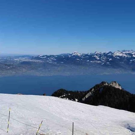 Thollon-les-Memises Studio Myrtilles Du Leman Vue Sur Lac Et Montagne מראה חיצוני תמונה