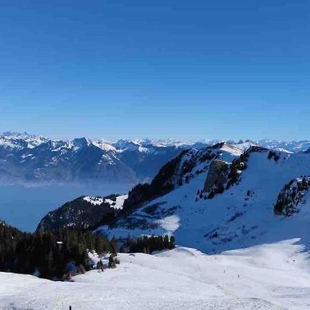 Thollon-les-Memises Studio Myrtilles Du Leman Vue Sur Lac Et Montagne מראה חיצוני תמונה