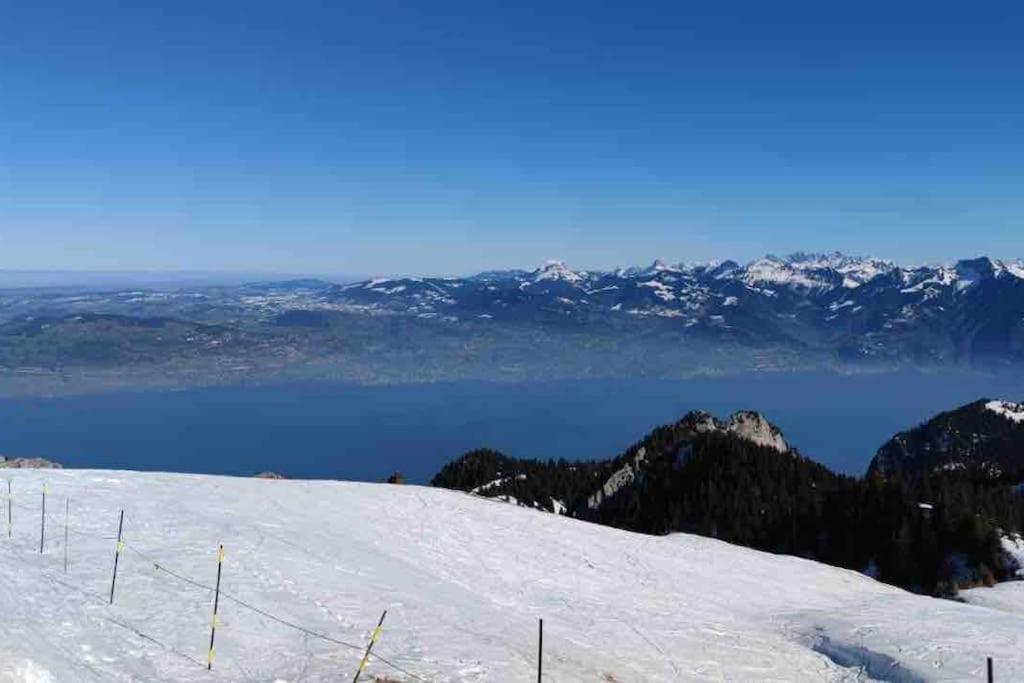 Thollon-les-Memises Studio Myrtilles Du Leman Vue Sur Lac Et Montagne מראה חיצוני תמונה