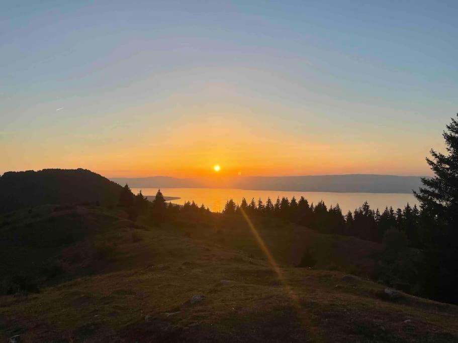 Thollon-les-Memises Studio Myrtilles Du Leman Vue Sur Lac Et Montagne מראה חיצוני תמונה